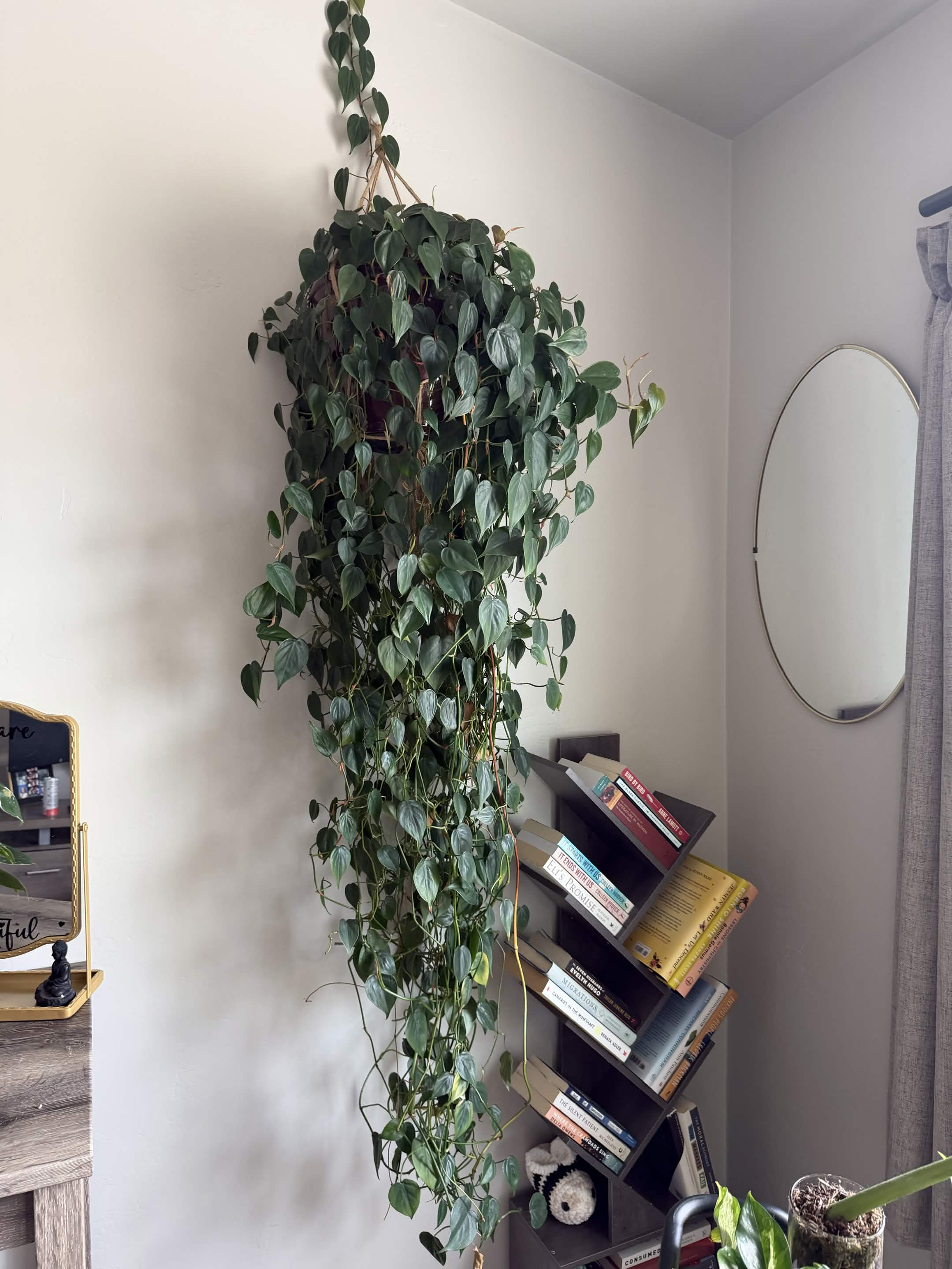 Green Plant 07